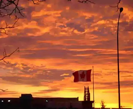 Canada Immigration Consultants In Canada